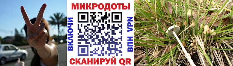 Галлюциногенные грибы прущие грибы  Купить где  Лодейное Поле 